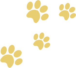 A green background with yellow paw prints.