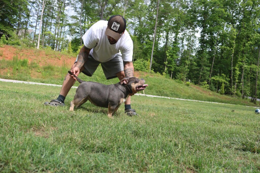 Man bending down to interact with a small dog on a grassy lawn.