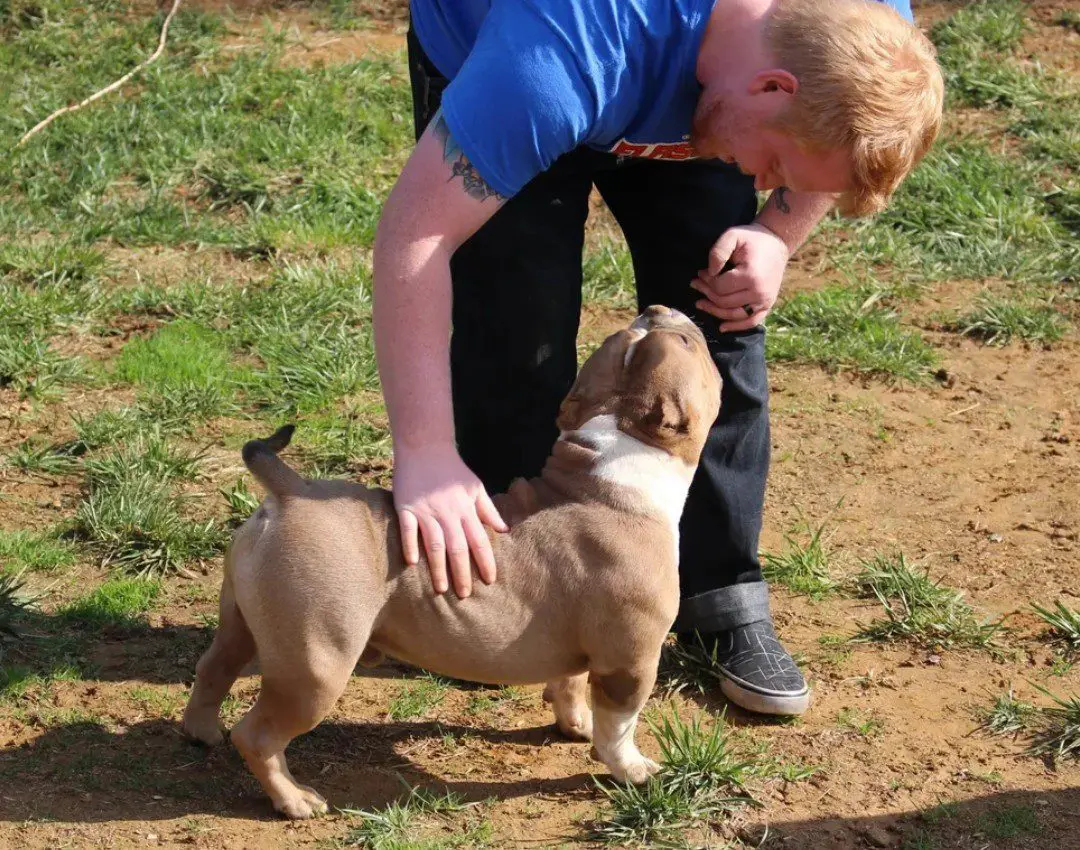 A person petting a dog on the ground
