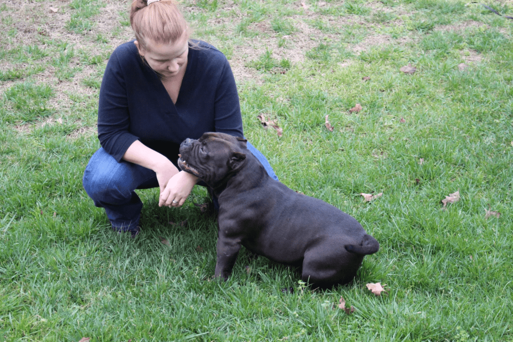 A woman kneeling on grass interacts with a black dog.