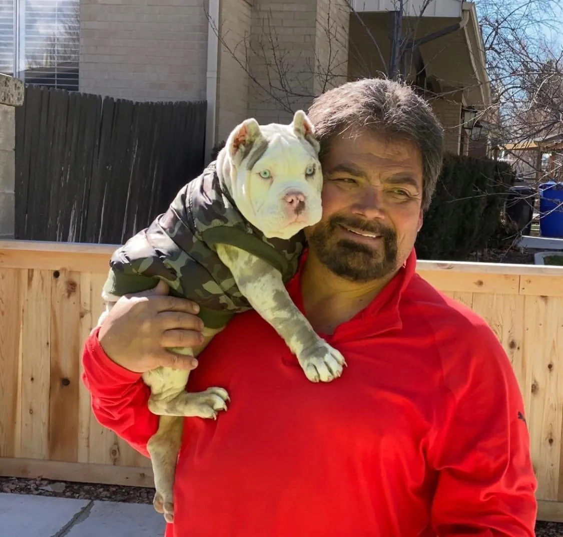 A man in a red shirt holding a white bulldog wearing a camouflage jacket.