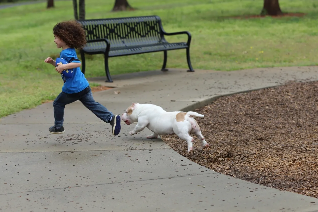 A child and a dog running together on a park pathway.