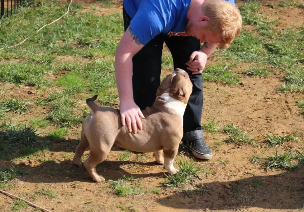 A man is petting his dog on the nose.