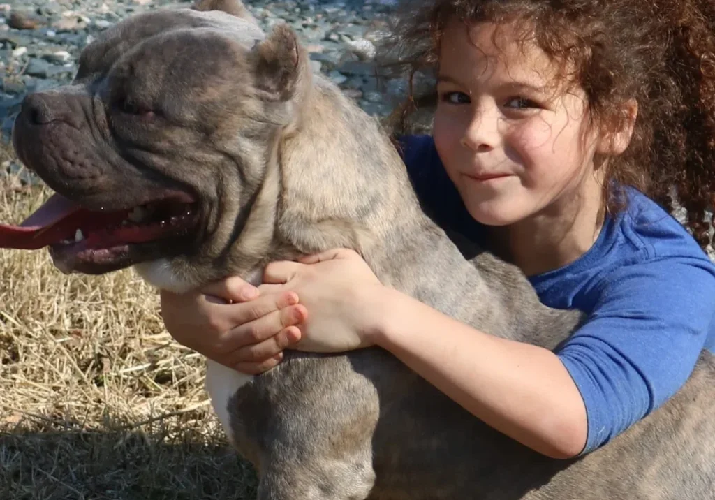 A young girl embracing a large, grey dog with a joyful expression.