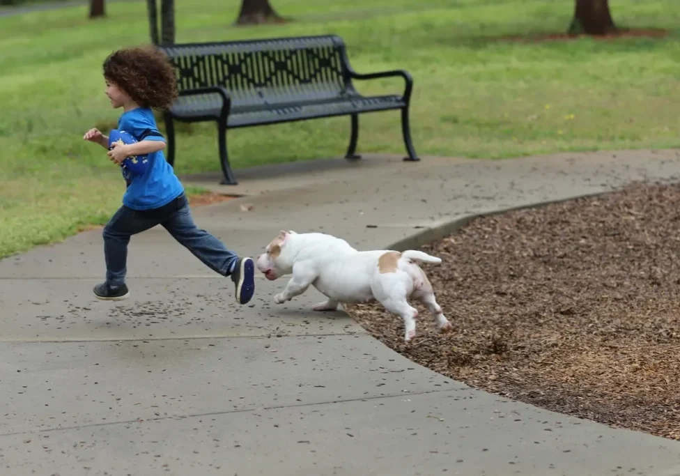 A child and a dog running together on a park pathway.